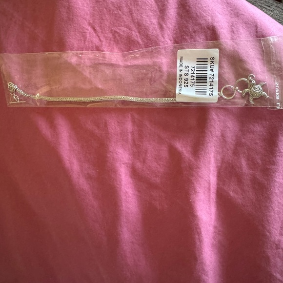 Silver Turtle Charm Bracelet - Picture 4 of 5